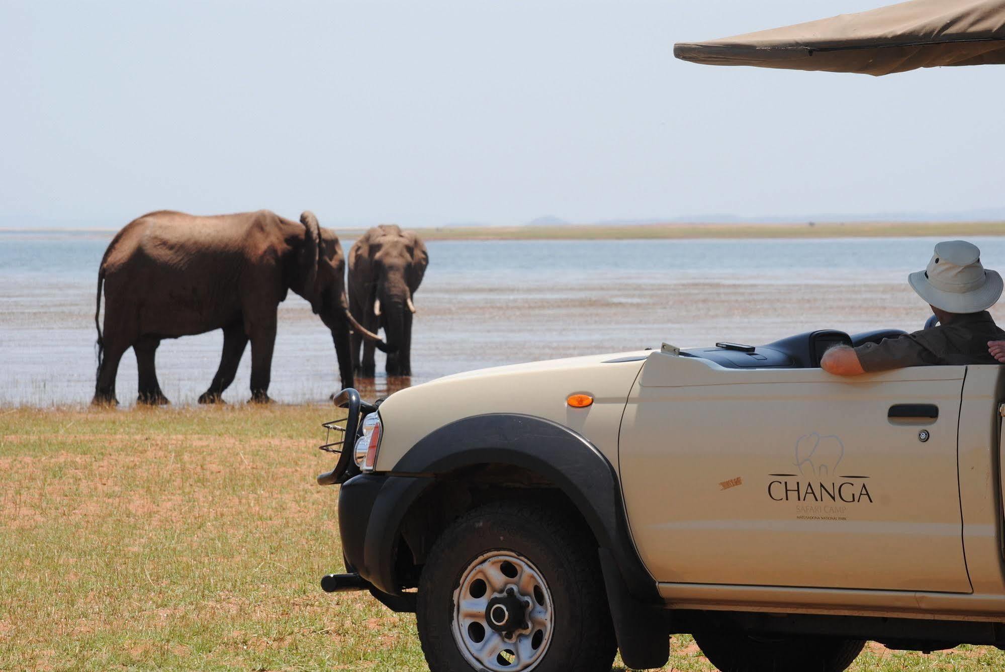 Changa Safari Camp Matusadona National Park Eksteriør billede
