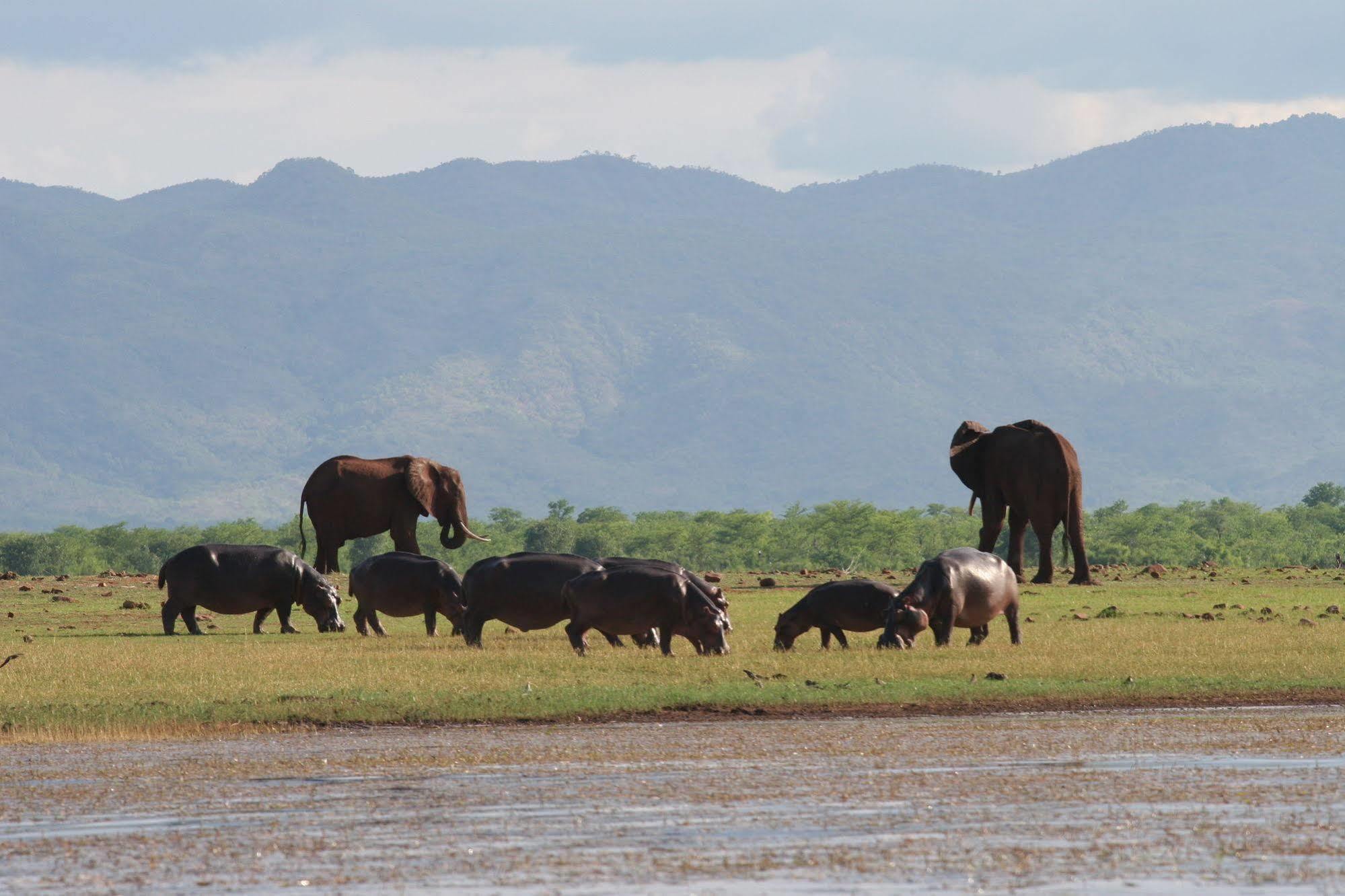 Changa Safari Camp Matusadona National Park Eksteriør billede